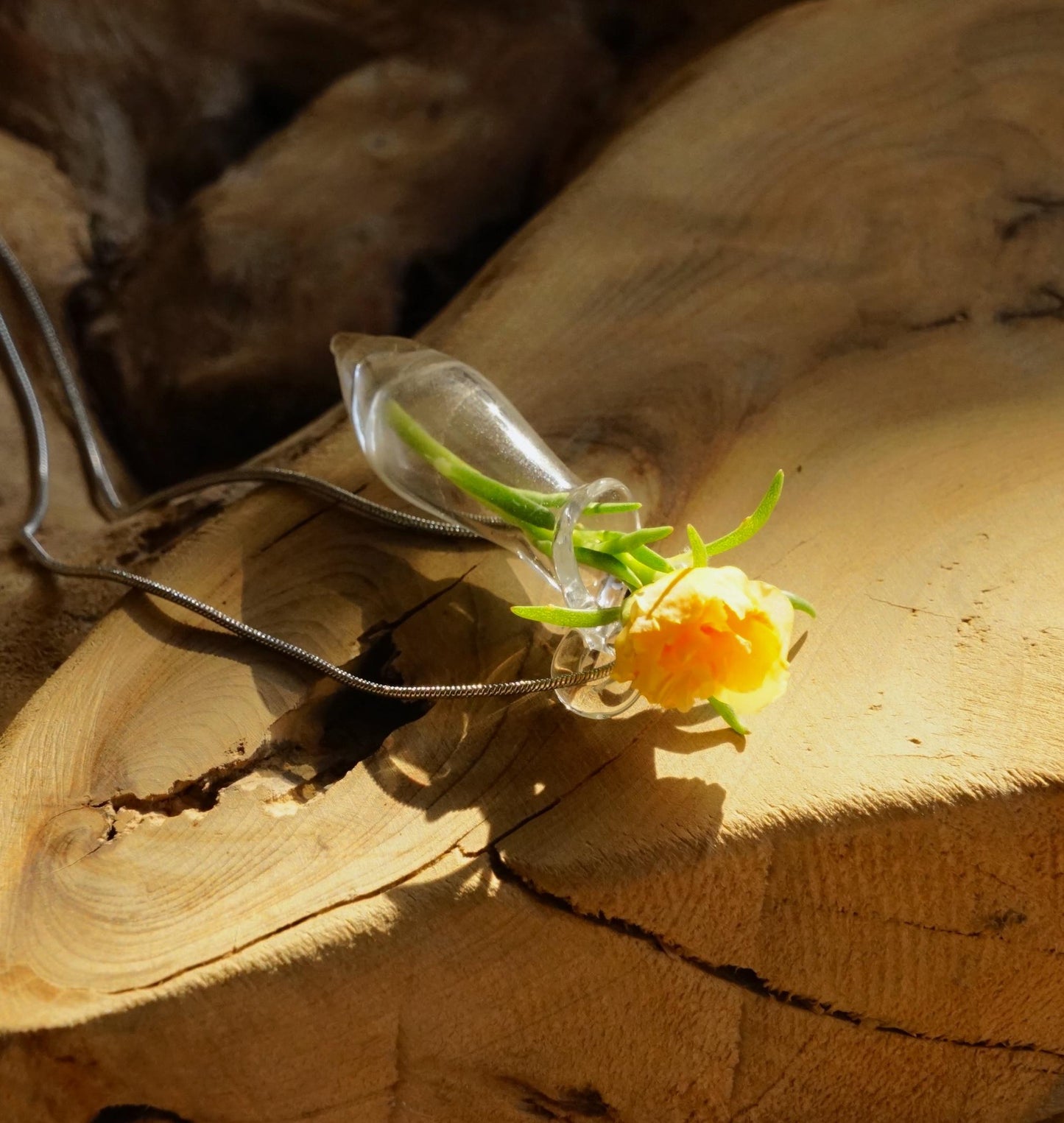 Glass Mini Vase Necklace, Wearable Terrarium Pendant, Living Flower Jewelry, Lampwork Vial for Dried Flowers, Gardener Gift