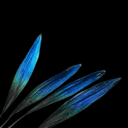 Geometric Wire Frame Feather Earrings, Blue Statement Drop Earrings, Modern Gold Dangles